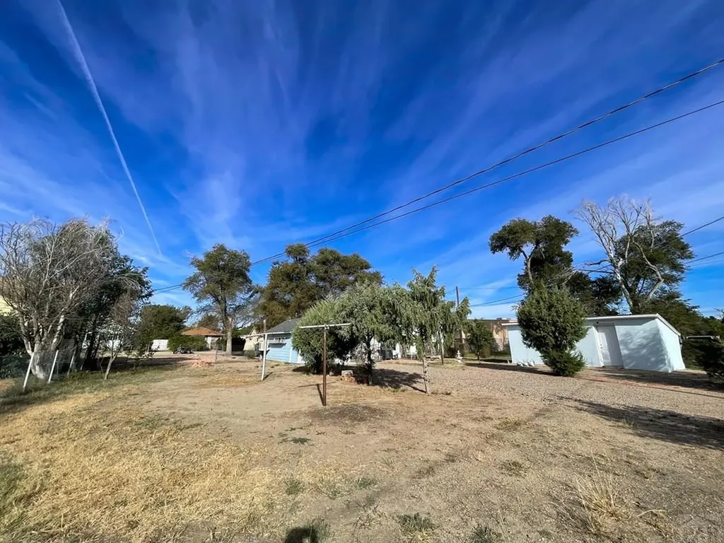 703 Bradish Avenue La Junta CO 81050