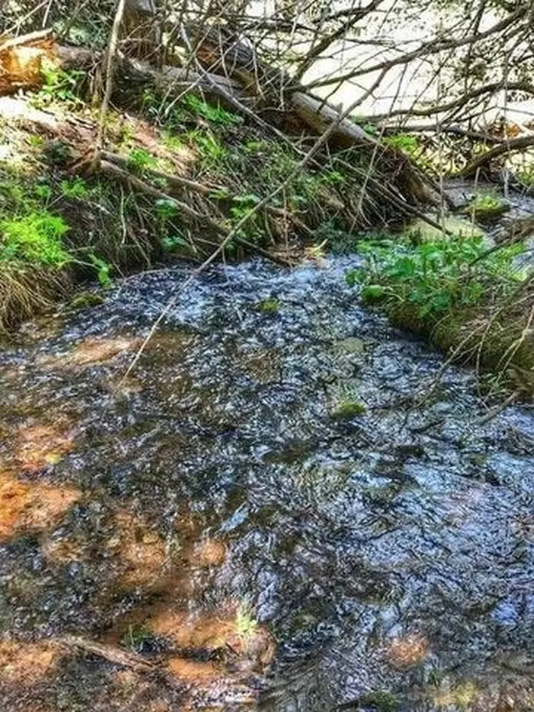 71 Shires Circle La Veta CO 81055