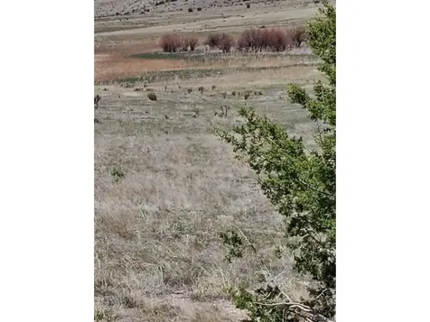 Pueblo CO 81004