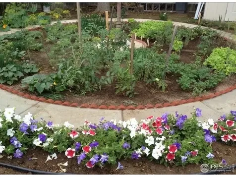 7624 Gray Way Arvada CO 80003