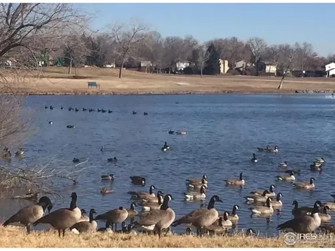 7624 Gray Way Arvada CO 80003