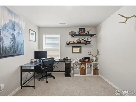 614 Apex Trail Ault CO 80610