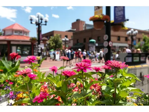 7401 Deerfield Road Longmont CO 80503