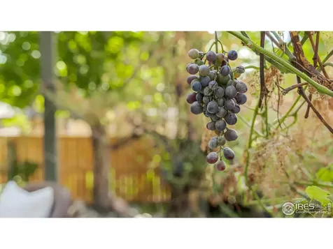 5334 Owens Street Arvada CO 80002