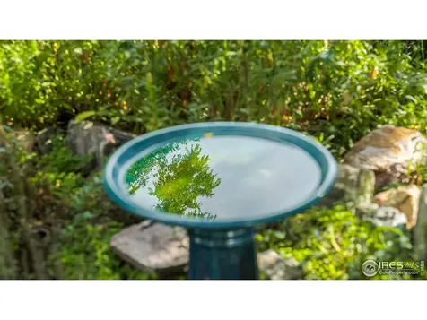 5334 Owens Street Arvada CO 80002