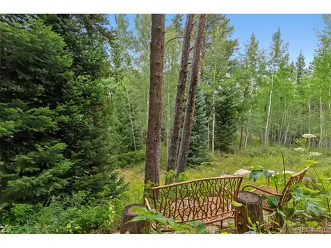 2050 Currant Way Silverthorne CO 80498