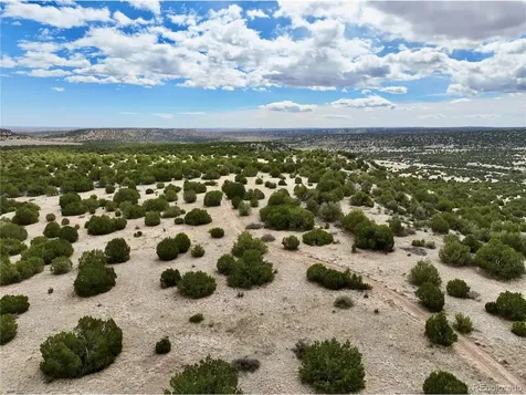 Pueblo CO 81005