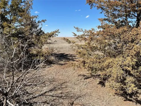 117 Lincoln Avenue Arriba CO 80804