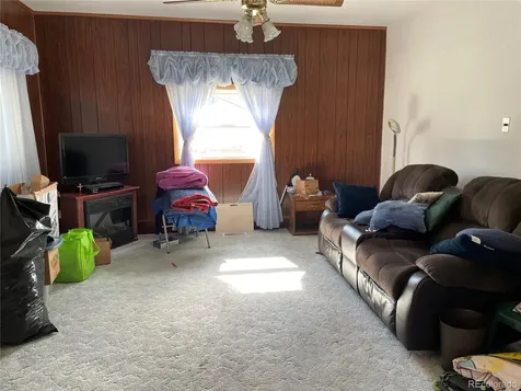 117 Lincoln Avenue Arriba CO 80804