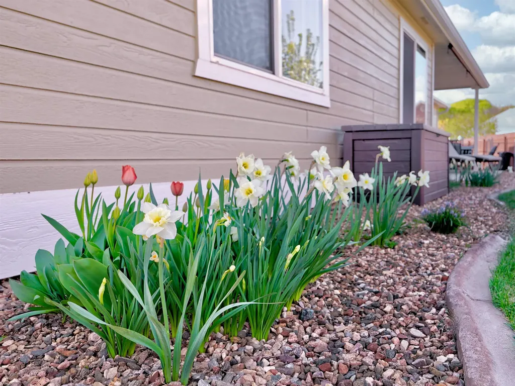 763 Cambridge Court Fruita CO 81521