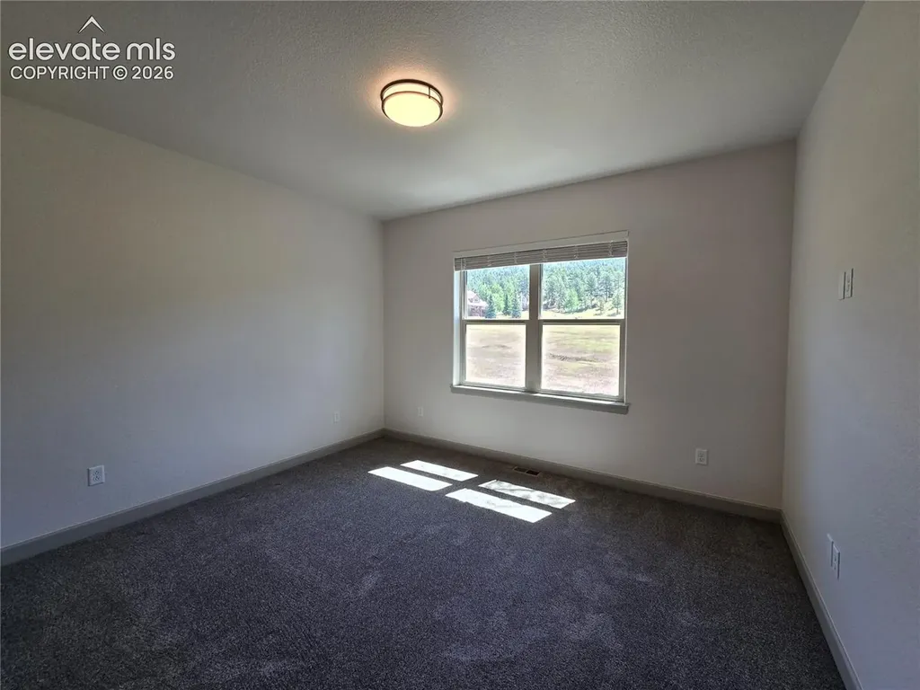 538 Brecken Court Woodland Park CO 80863