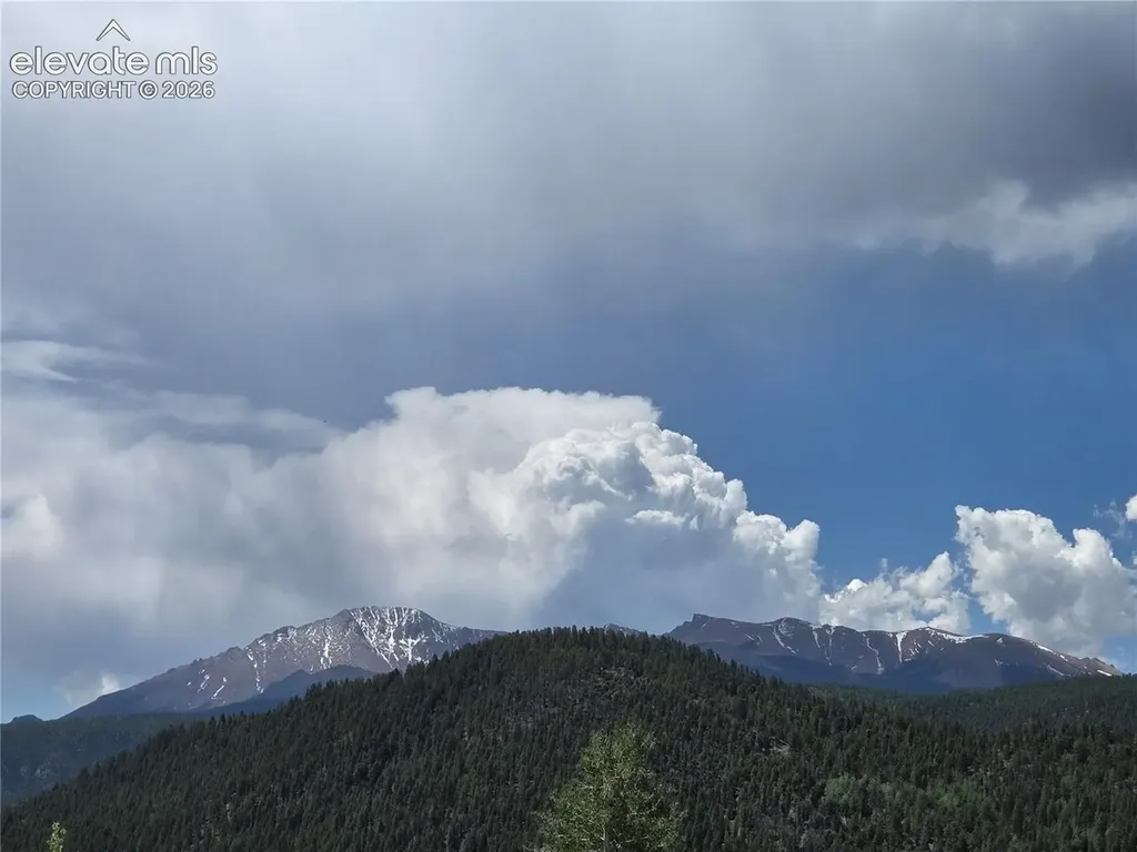 538 Brecken Court Woodland Park CO 80863