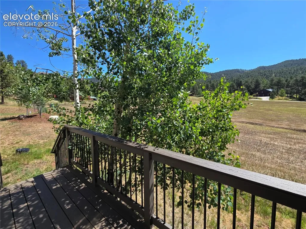 538 Brecken Court Woodland Park CO 80863