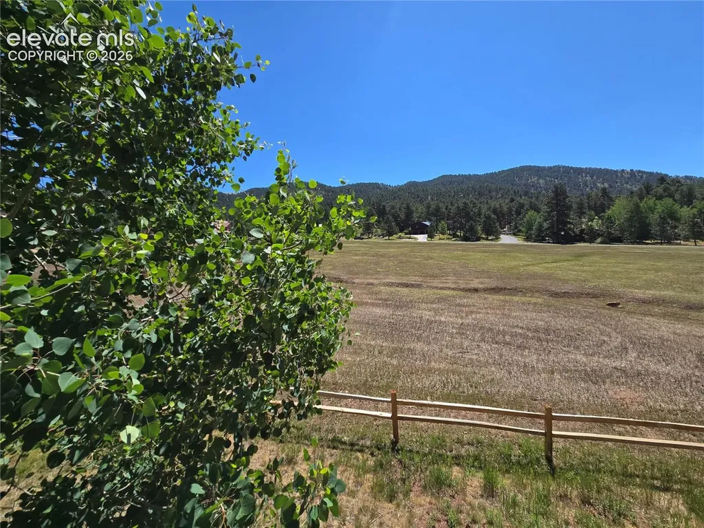 538 Brecken Court Woodland Park CO 80863