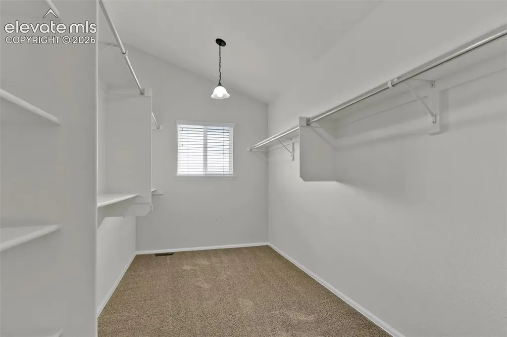 705 Witchhazel Court Colorado Springs CO 80921