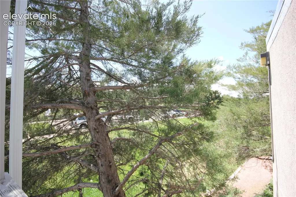 3120 Van Teylingen Drive Colorado Springs CO 80917