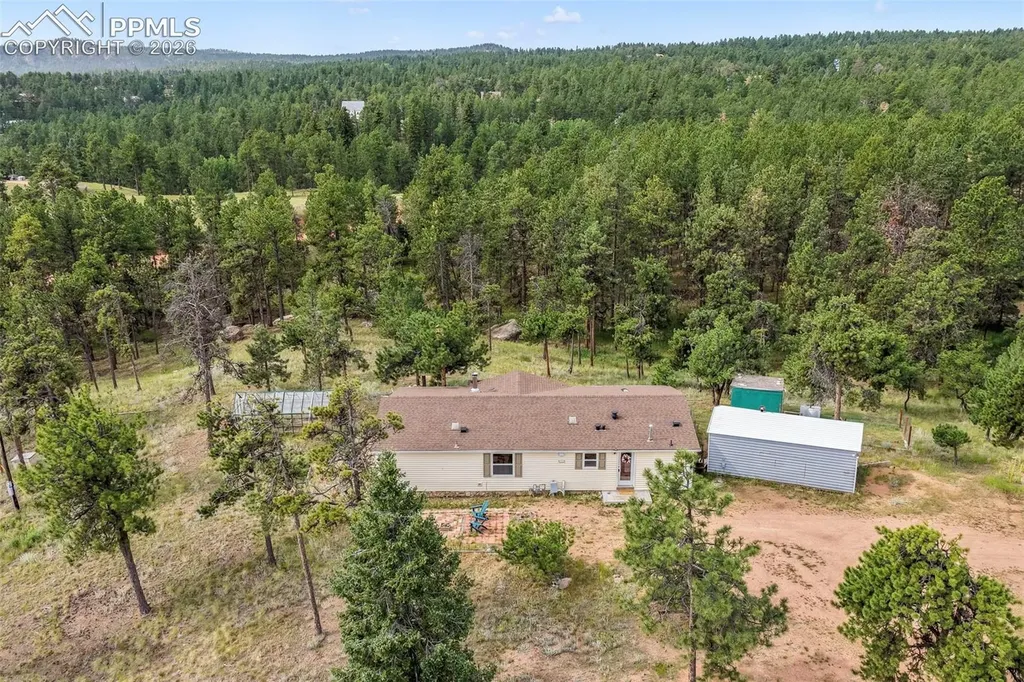 696 Calle De La Nieva Na Florissant CO 80816
