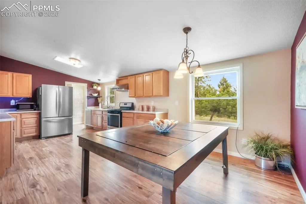 696 Calle De La Nieva Na Florissant CO 80816
