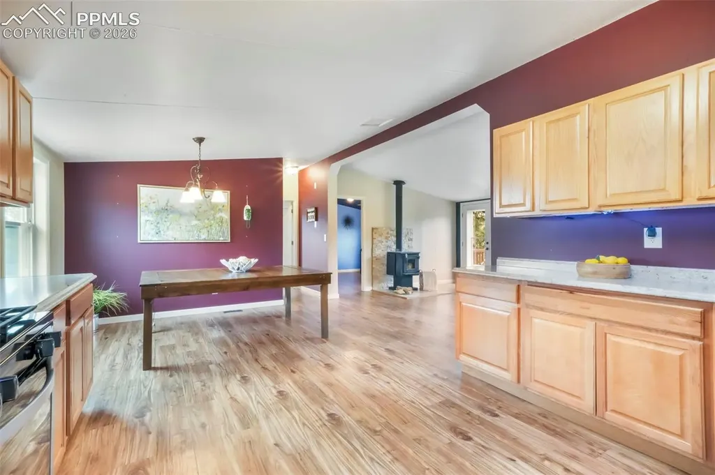696 Calle De La Nieva Na Florissant CO 80816