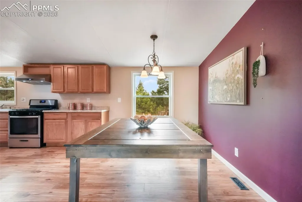 696 Calle De La Nieva Na Florissant CO 80816