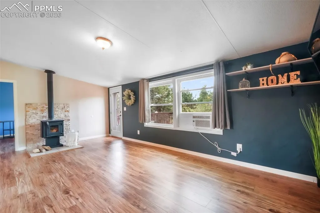 696 Calle De La Nieva Na Florissant CO 80816