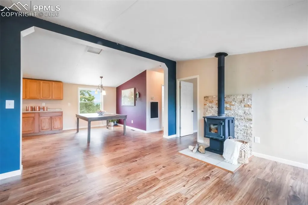 696 Calle De La Nieva Na Florissant CO 80816