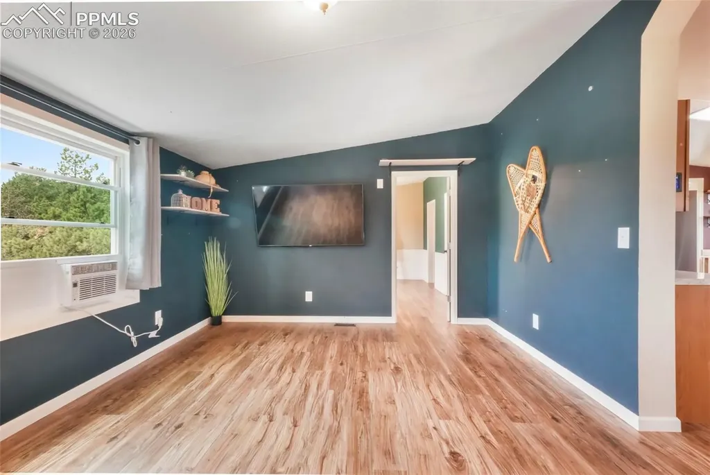 696 Calle De La Nieva Na Florissant CO 80816