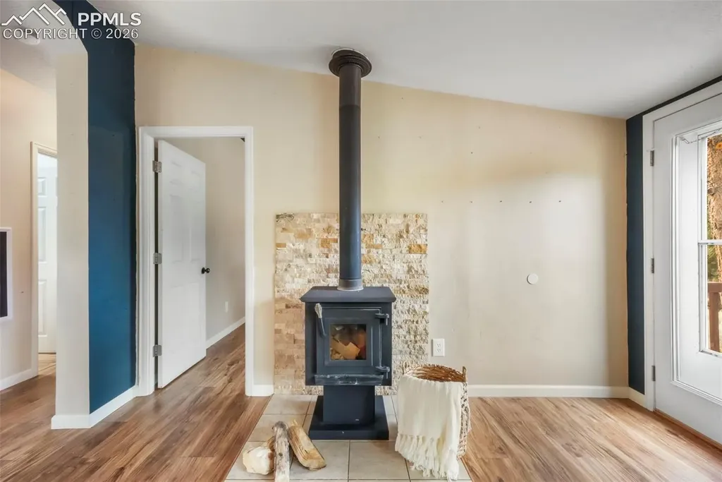 696 Calle De La Nieva Na Florissant CO 80816