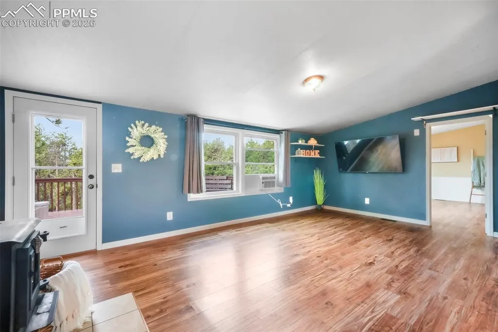 696 Calle De La Nieva Na Florissant CO 80816