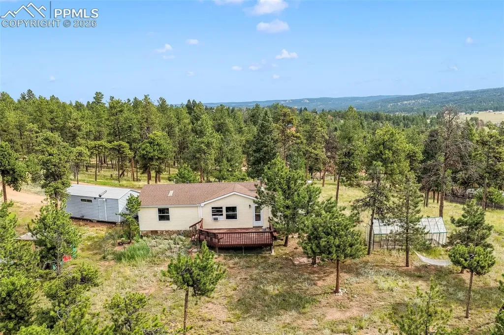 696 Calle De La Nieva Na Florissant CO 80816