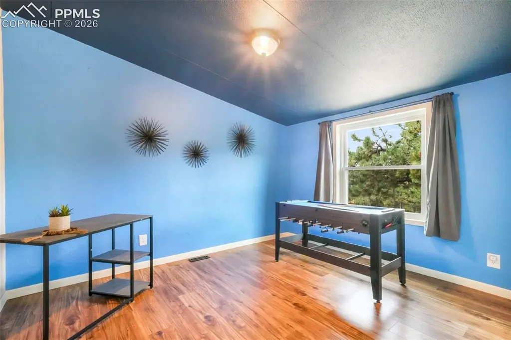 696 Calle De La Nieva Na Florissant CO 80816