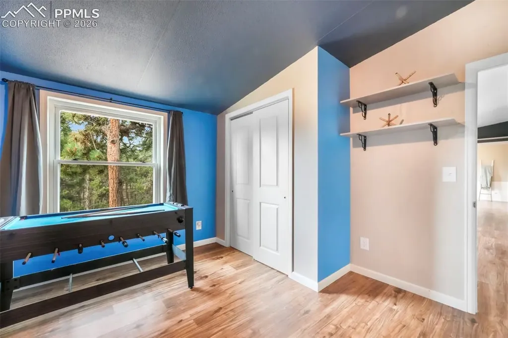 696 Calle De La Nieva Na Florissant CO 80816