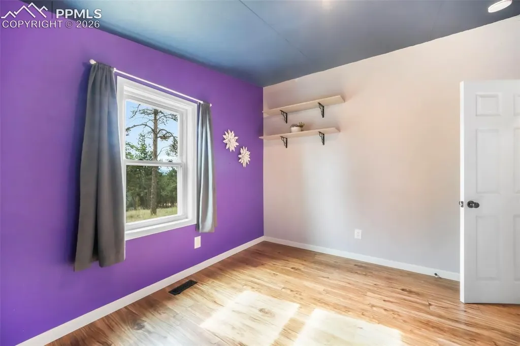 696 Calle De La Nieva Na Florissant CO 80816