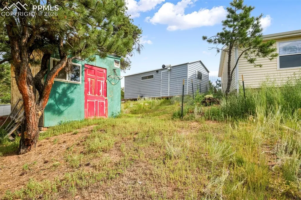 696 Calle De La Nieva Na Florissant CO 80816