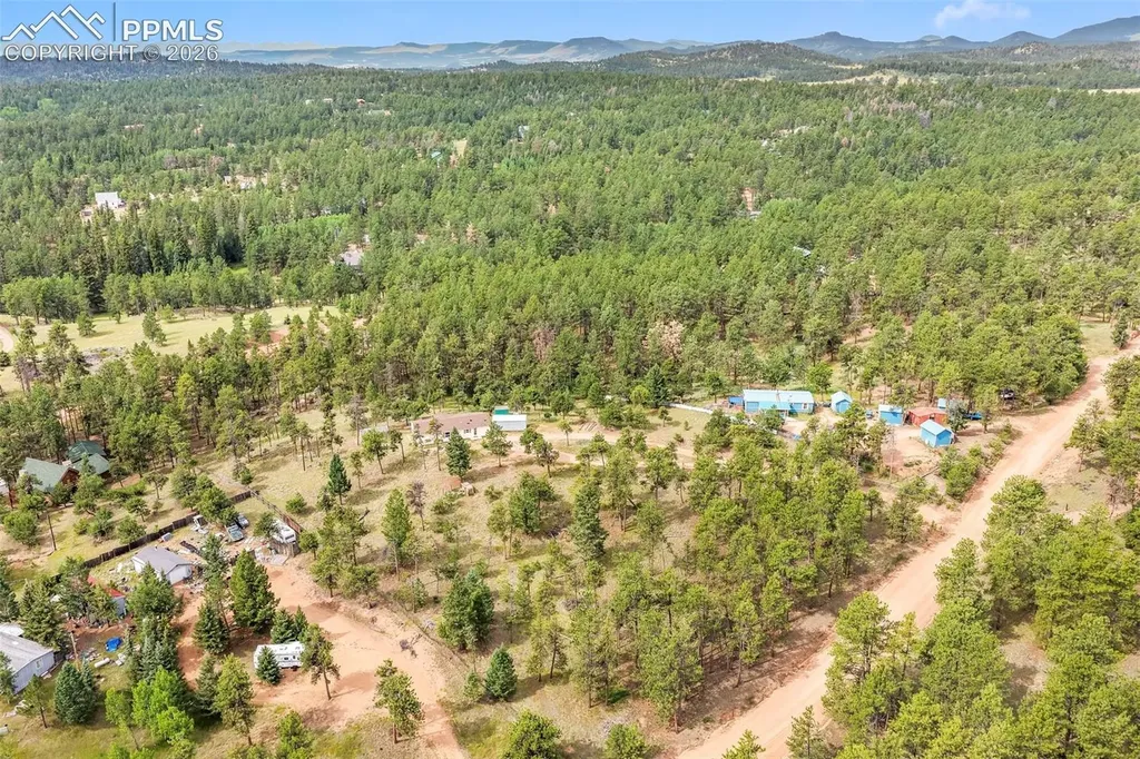 696 Calle De La Nieva Na Florissant CO 80816