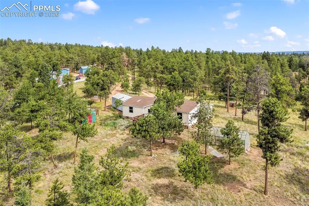 696 Calle De La Nieva Na Florissant CO 80816