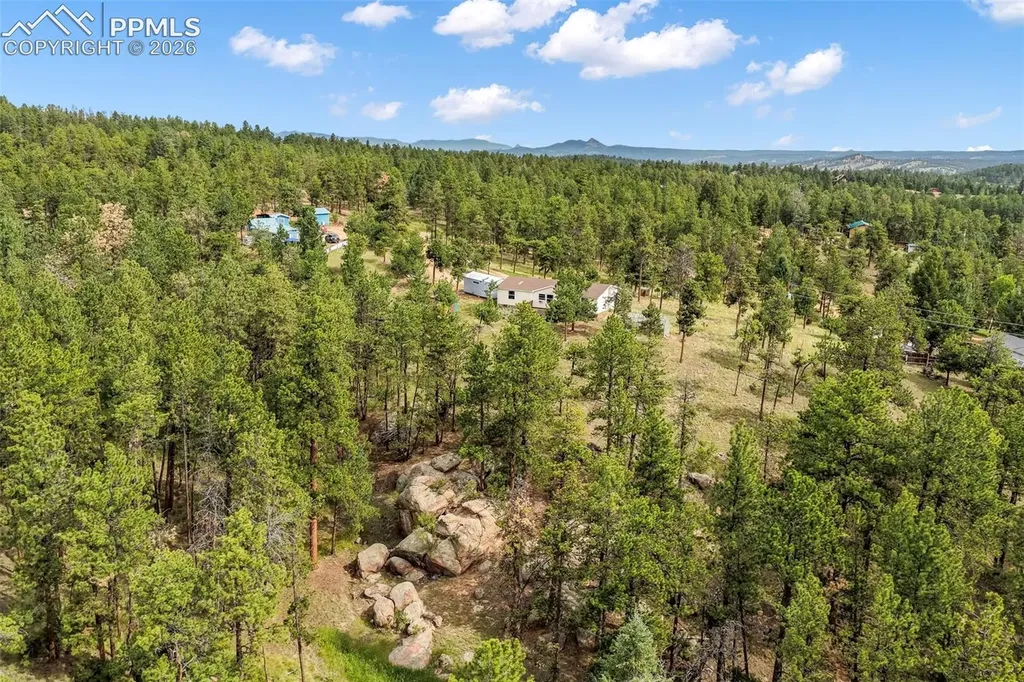 696 Calle De La Nieva Na Florissant CO 80816