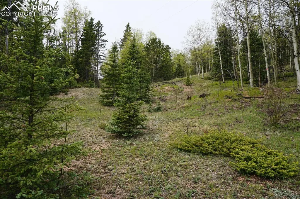 Vacant Land Na Cripple Creek CO 80813