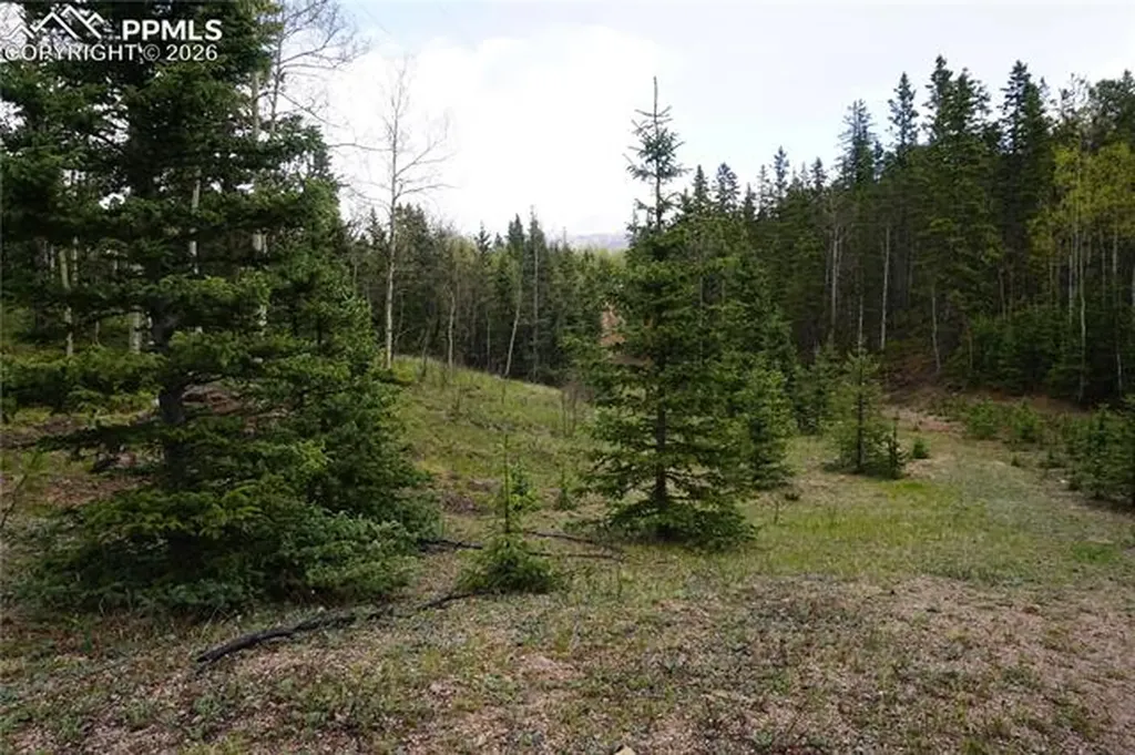 Vacant Land Na Cripple Creek CO 80813
