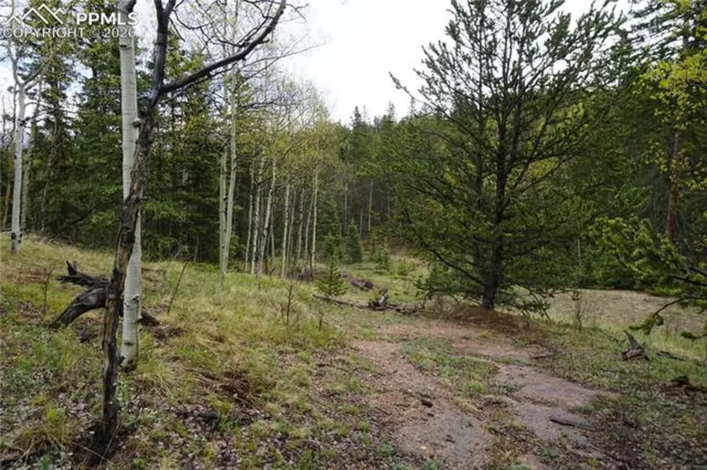 Vacant Land Na Cripple Creek CO 80813