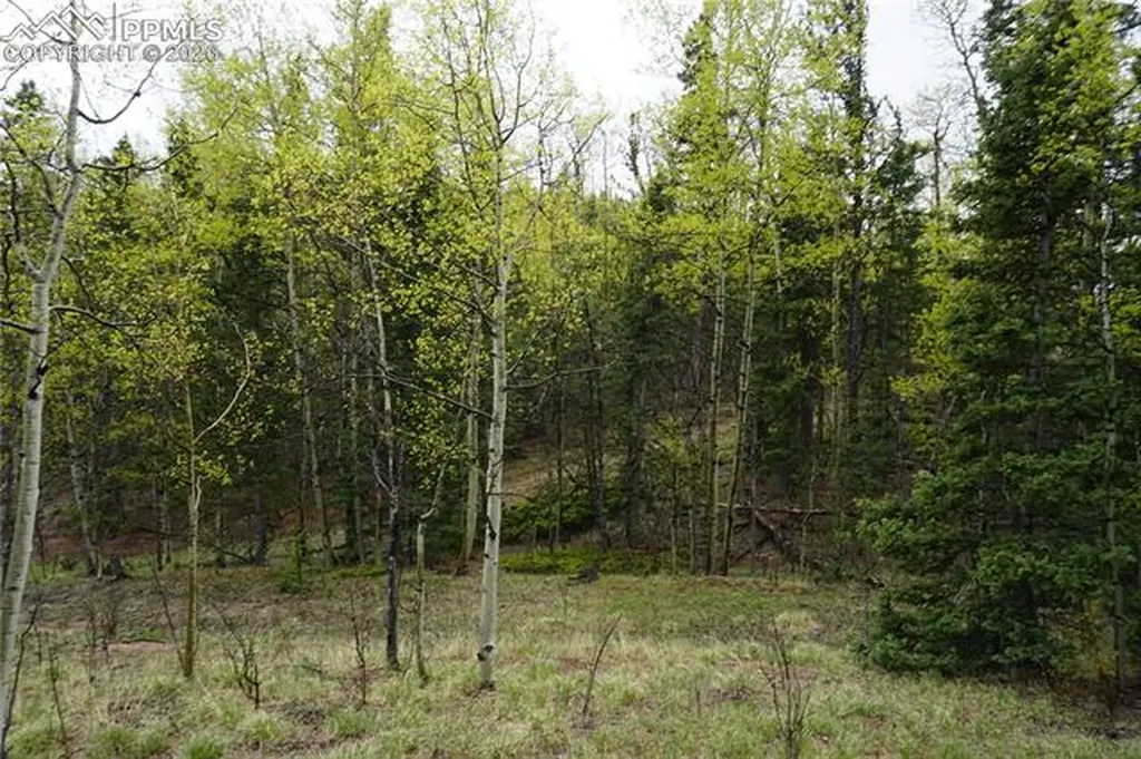 Vacant Land Na Cripple Creek CO 80813