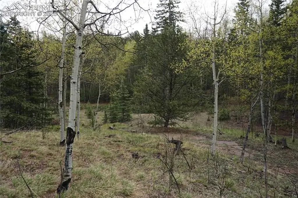 Vacant Land Na Cripple Creek CO 80813