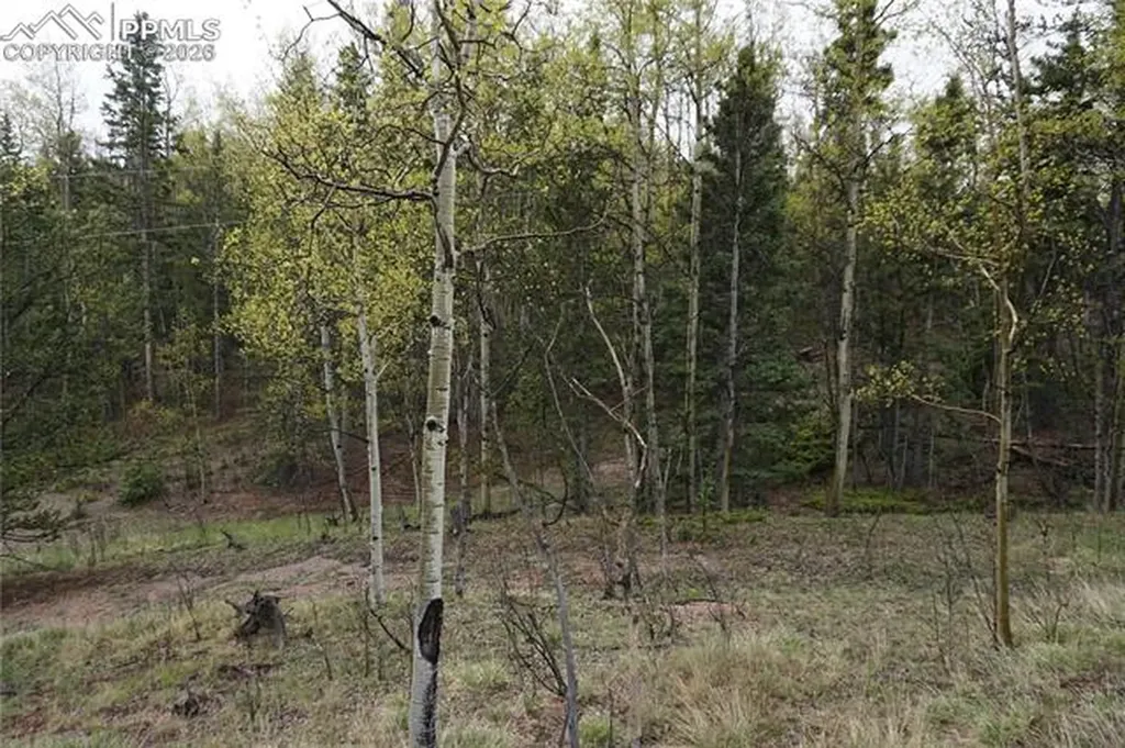 Vacant Land Na Cripple Creek CO 80813