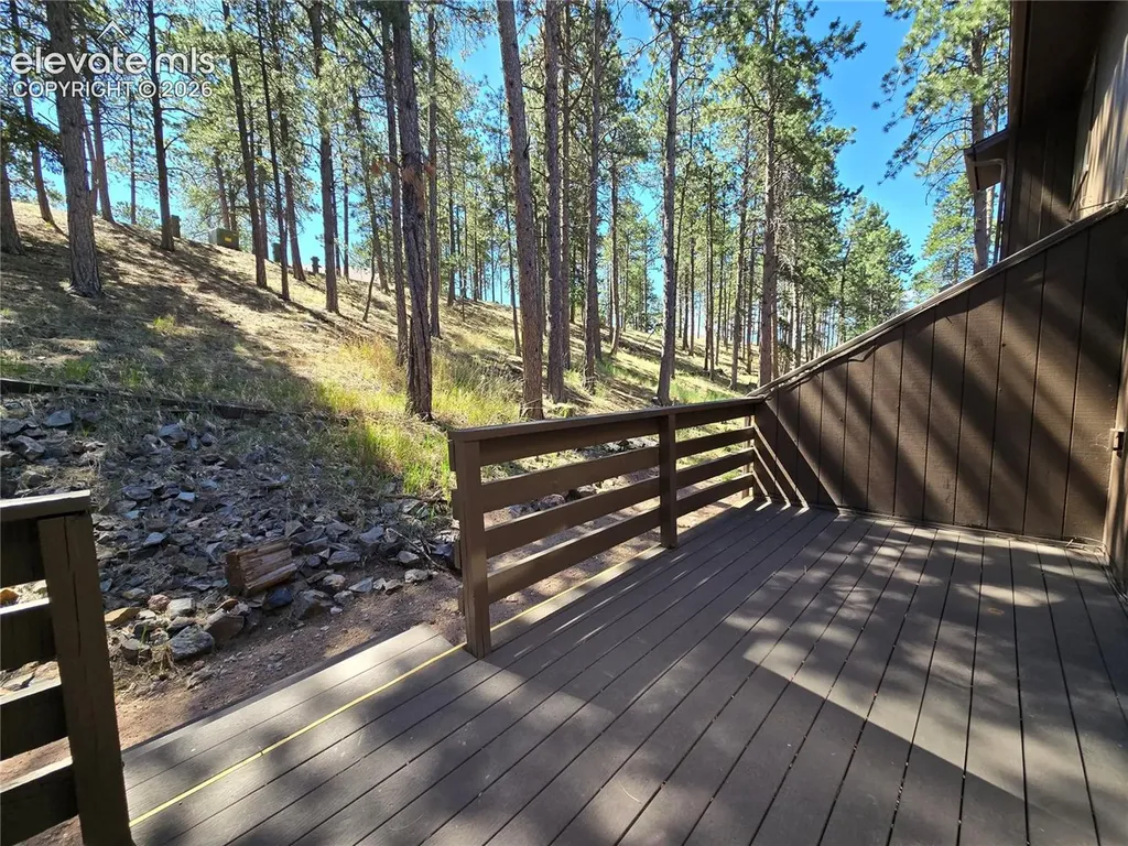 570 Manor Court Woodland Park CO 80863