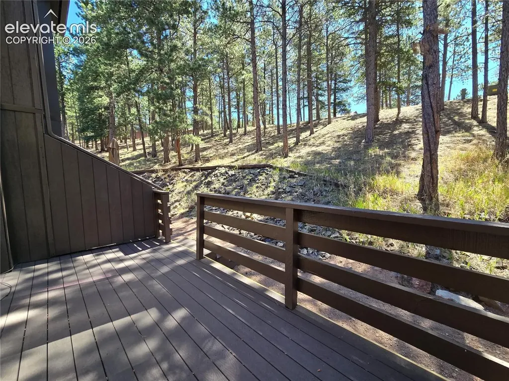 570 Manor Court Woodland Park CO 80863