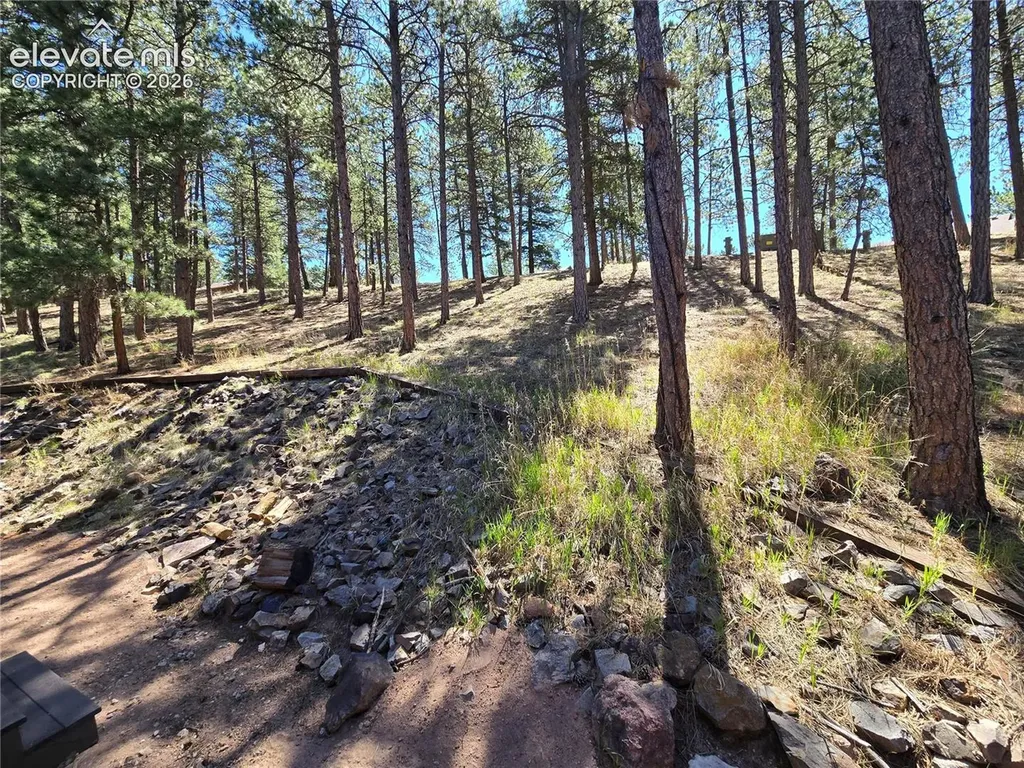 570 Manor Court Woodland Park CO 80863