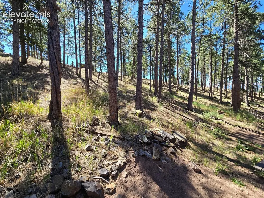 570 Manor Court Woodland Park CO 80863