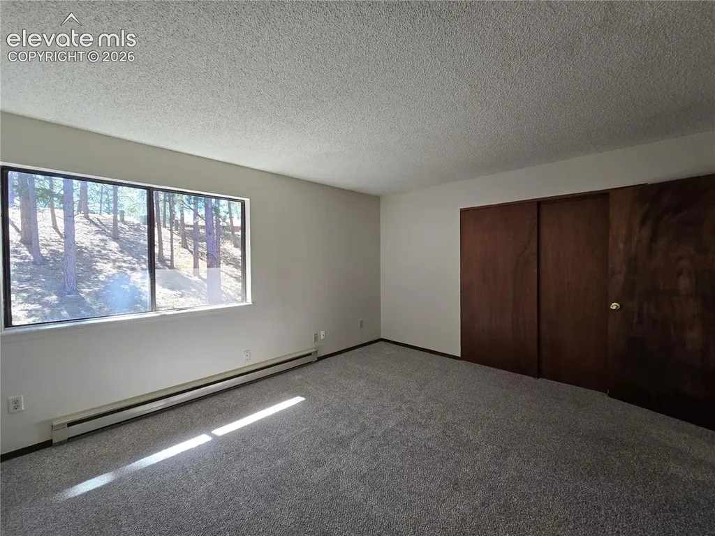570 Manor Court Woodland Park CO 80863