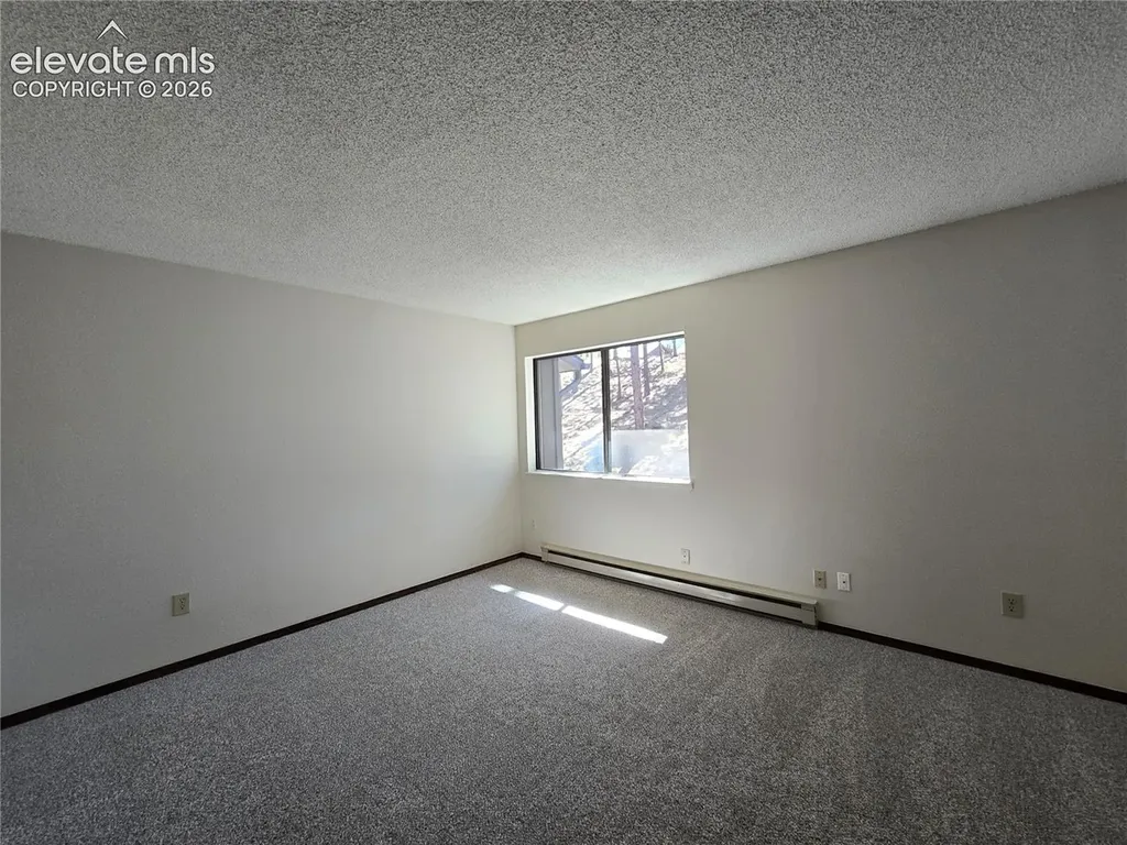 570 Manor Court Woodland Park CO 80863
