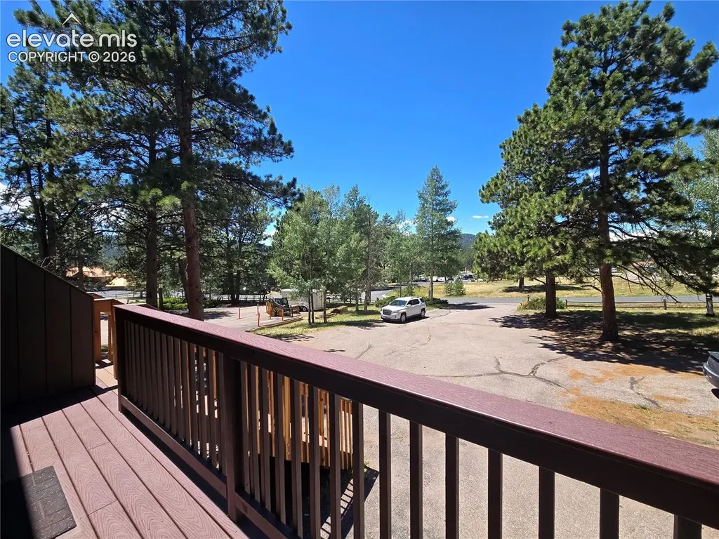 570 Manor Court Woodland Park CO 80863